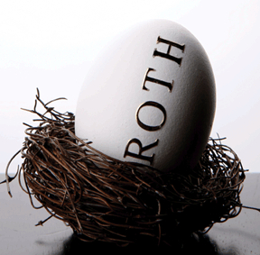 Roth IRA nest egg image